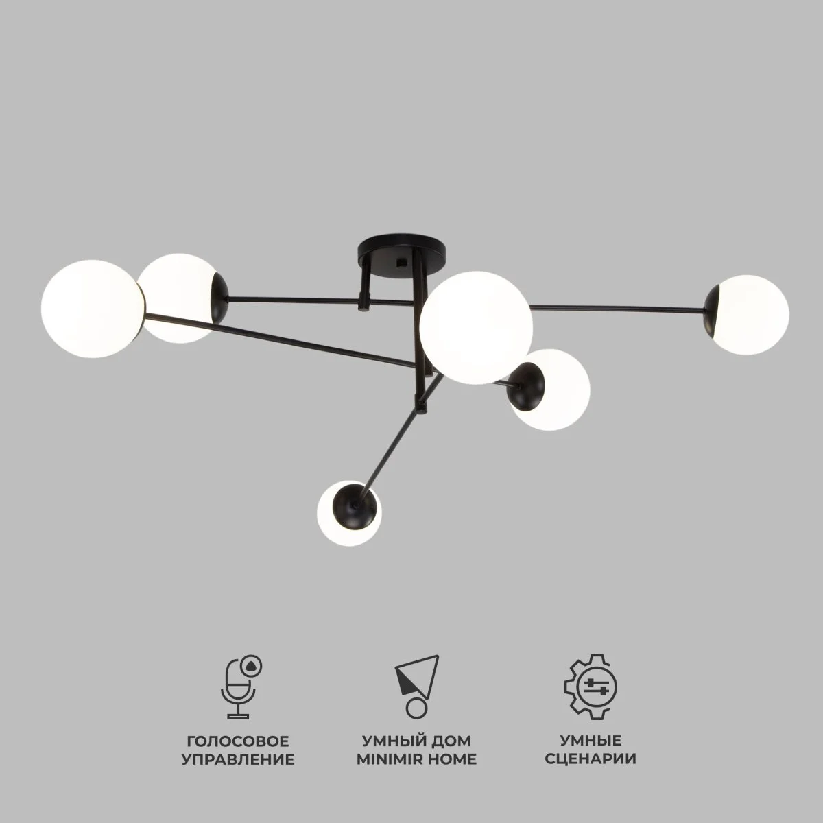 картинка Умный потолочный светильник 30181/6 черный