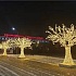 Световые деревья